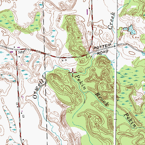 Topographic Map of Pekin Brook, NY