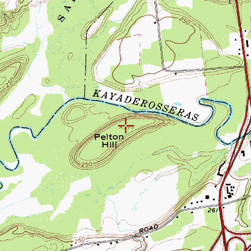 Topographic Map of Pelton Hill, NY