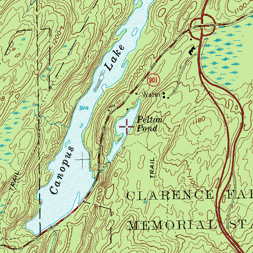 Topographic Map of Pelton Pond, NY