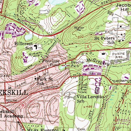 Topographic Map of Penelope Pond, NY