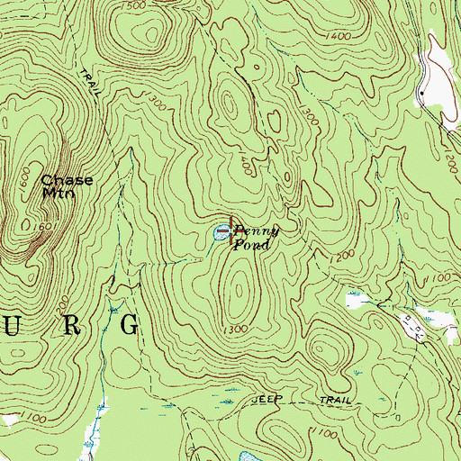 Topographic Map of Penny Pond, NY