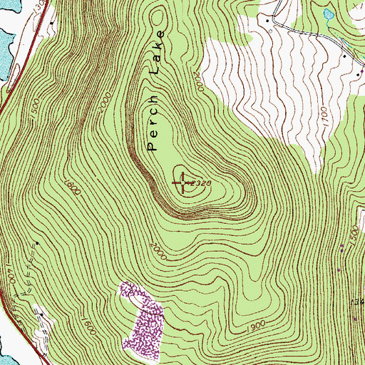 Topographic Map of Perch Lake Mountain, NY