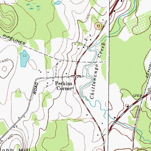 Topographic Map of Perkins Corner, NY