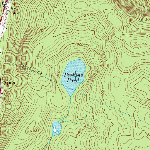 Topographic Map of Perkins Pond, NY