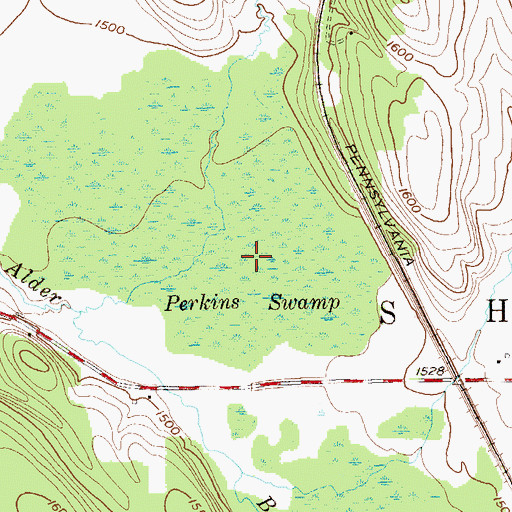 Topographic Map of Perkins Swamp, NY