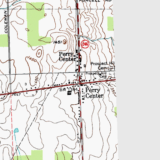 Topographic Map of Perry Center, NY