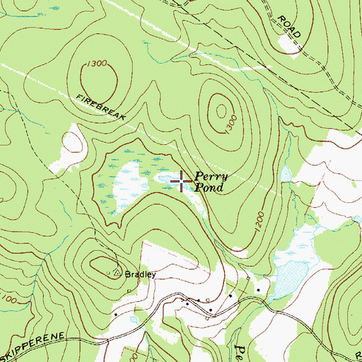 Topographic Map of Perry Pond, NY