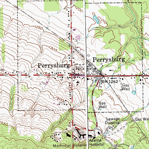 Topographic Map of Perrysburg, NY