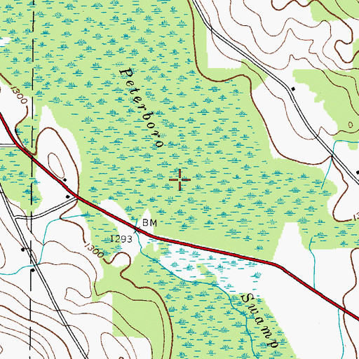 Topographic Map of Peterboro Swamp, NY