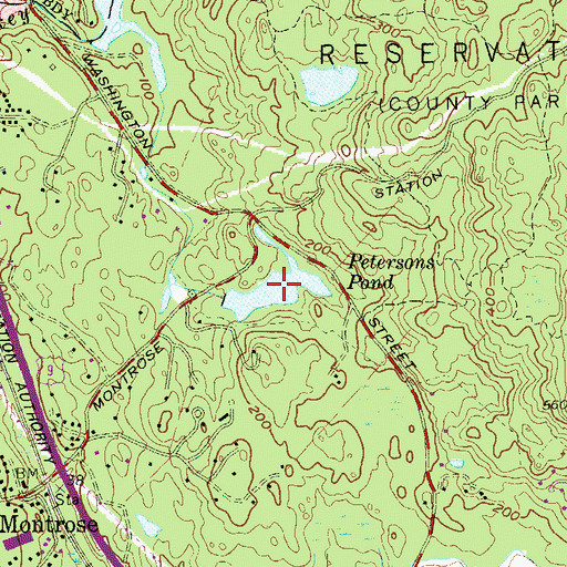 Topographic Map of Petersons Pond, NY