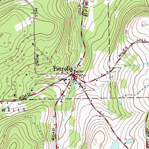 Topographic Map of Petrolia, NY