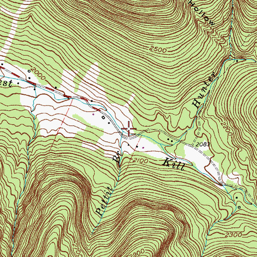 Topographic Map of Pettit Branch, NY