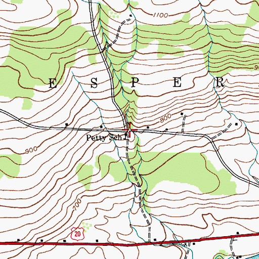 Topographic Map of Petty School, NY