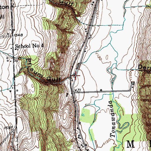 Topographic Map of Pflaum Gulf, NY