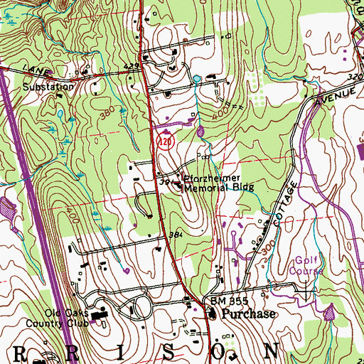 Topographic Map of Pforzheimer Memorial Bridge, NY