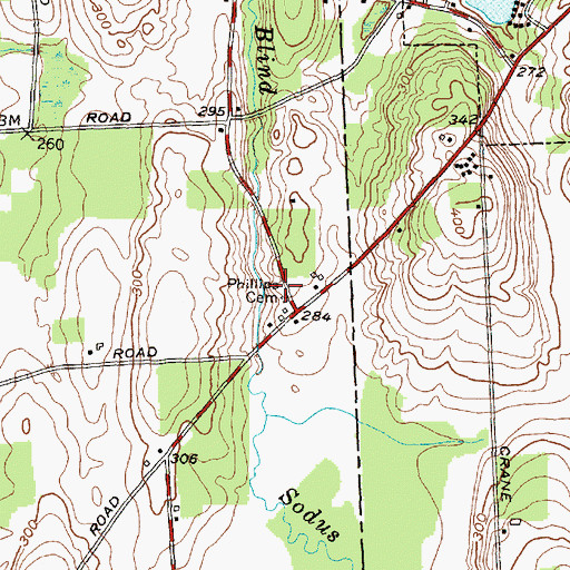 Topographic Map of Phillips Cemetery, NY
