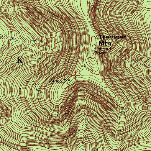 Topographic Map of Phoenicia Trail, NY