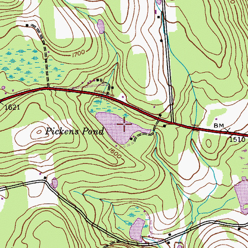 Topographic Map of Pickens Pond, NY