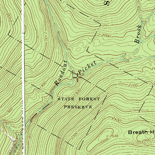 Topographic Map of Picket Brook, NY