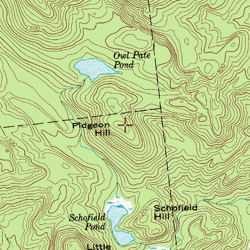 Topographic Map of Pidgeon Hill, NY