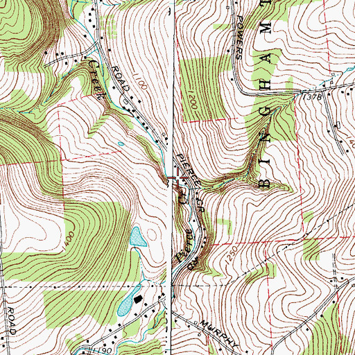 Topographic Map of Pierce Creek, NY