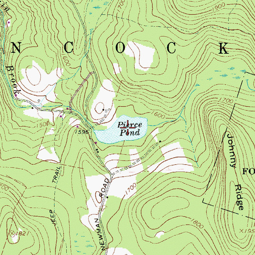 Topographic Map of Pierce Pond, NY