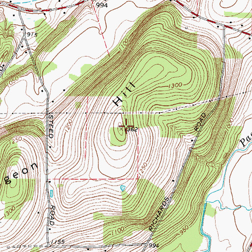 Topographic Map of Pigeon Hill, NY