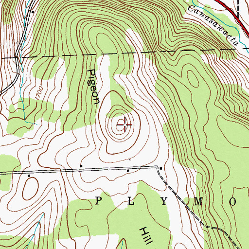 Topographic Map of Pigeon Hill, NY