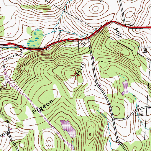 Topographic Map of Pigeon Hill, NY