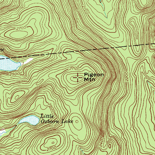 Topographic Map of Pigeon Mountain, NY