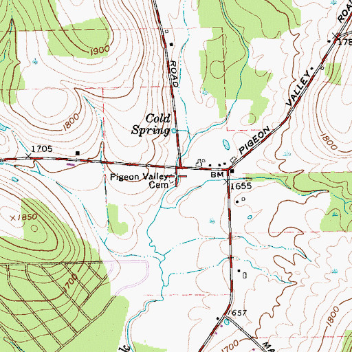 Topographic Map of Pigeon Valley Cemetery, NY