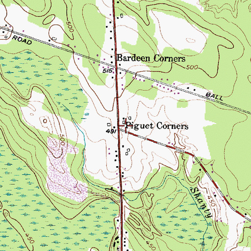 Topographic Map of Piguet Corners, NY