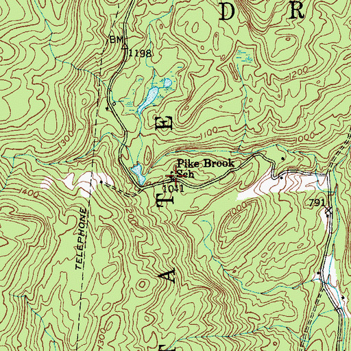 Topographic Map of Pike Brook School, NY