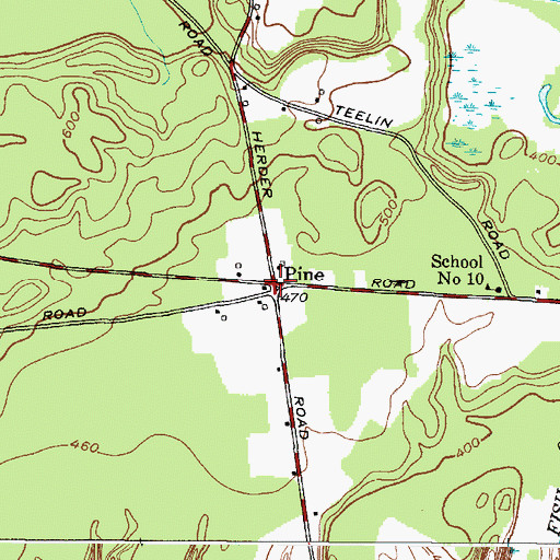 Topographic Map of Pine, NY
