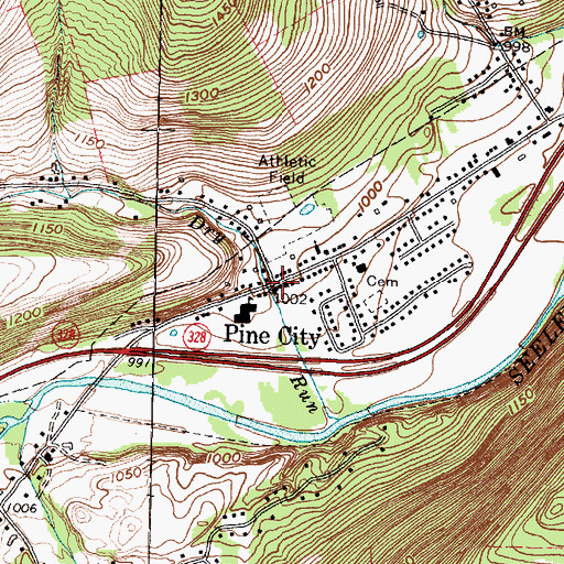 Topographic Map of Pine City, NY
