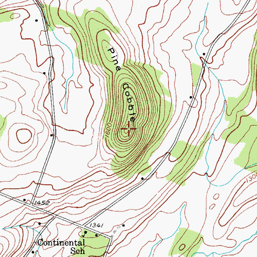Topographic Map of Pine Cobble, NY