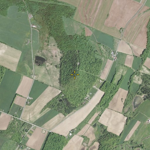 Aerial/Satellite Image of Pine Cobble, NY