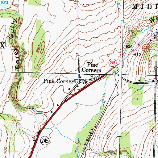 Topographic Map of Pine Corners, NY