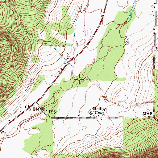 Topographic Map of Pine Creek, NY