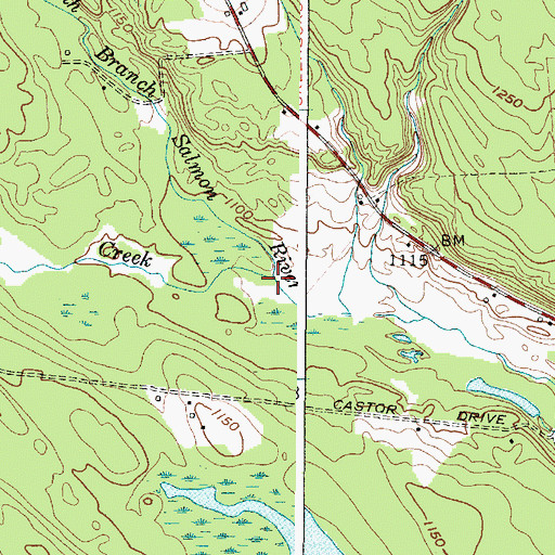 Topographic Map of Pine Creek, NY