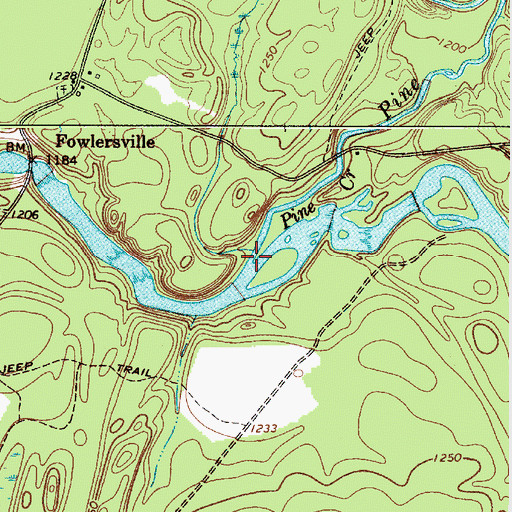 Topographic Map of Pine Creek, NY