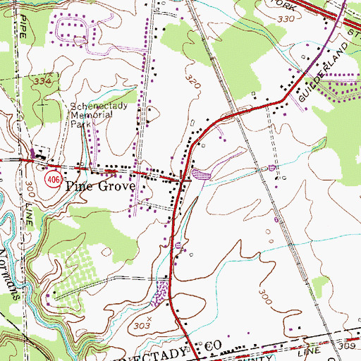 Topographic Map of Pine Grove, NY