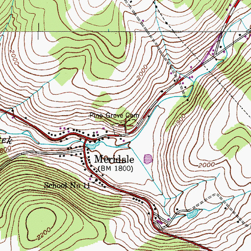 Topographic Map of Pine Grove Cemetery, NY