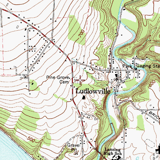 Topographic Map of Pine Grove Cemetery, NY