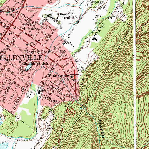 Topographic Map of Pine Grove School, NY