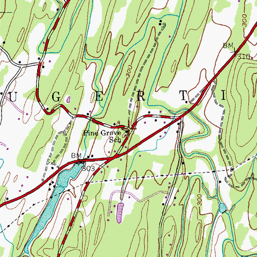 Topographic Map of Pine Grove School, NY