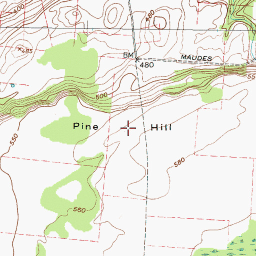 Topographic Map of Pine Hill, NY