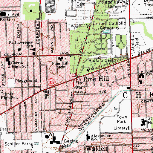 Topographic Map of Pine Hill, NY