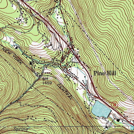 Topographic Map of Pine Hill, NY