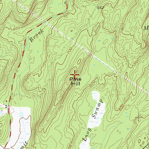 Topographic Map of Pine Hill, NY